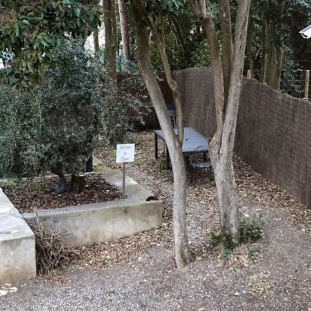 Au Vieux Lavoir Avec Parking Prive, Jardin , Climatisation, A 500 M De La Cite قرقشونه المظهر الخارجي الصورة